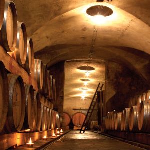Holzfasskeller im Weingut Endrizzi